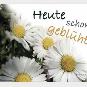 postkarte-heute-schon-geblueht