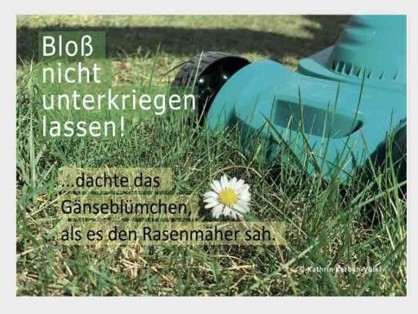 bloss-nicht-unterkriegen-lassen