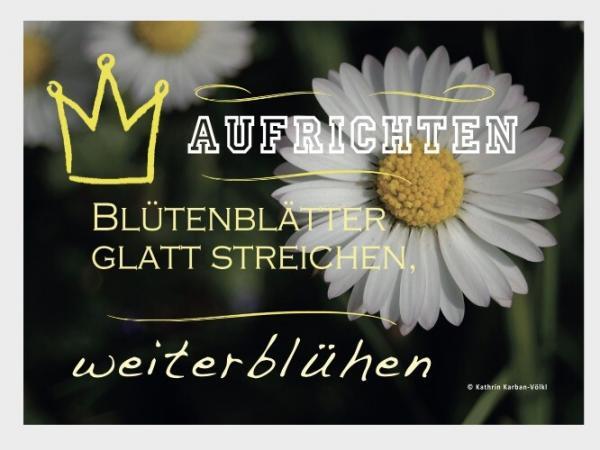gaensebluemchen
