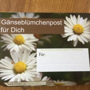 gaensebluemchen